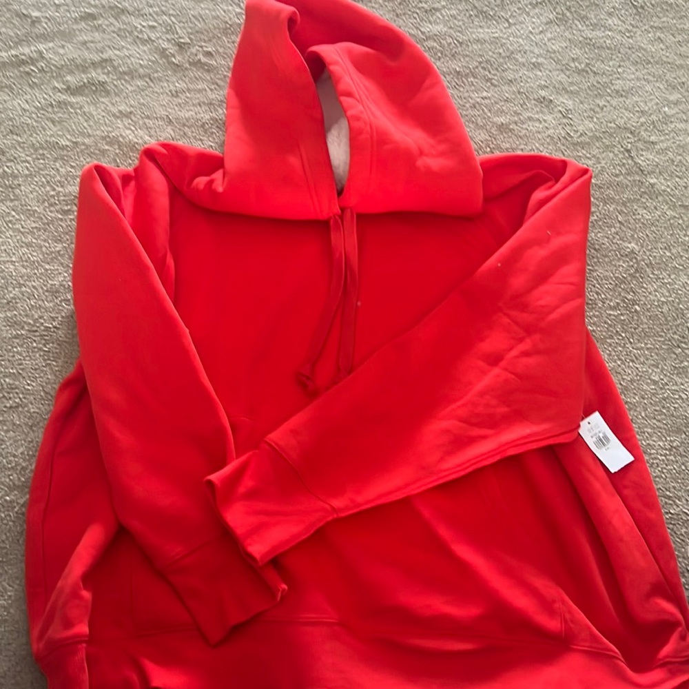 Hoodie with fleece lining in hood